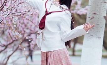 怎么能少了Shika小鹿鹿的夏天？快来下载她的美丽作品！