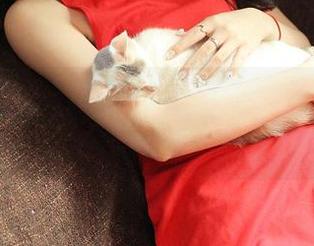 青豆客 – 高清美图中的绮里嘉Ula，双马尾背后藏着的那些不为人知的心事！